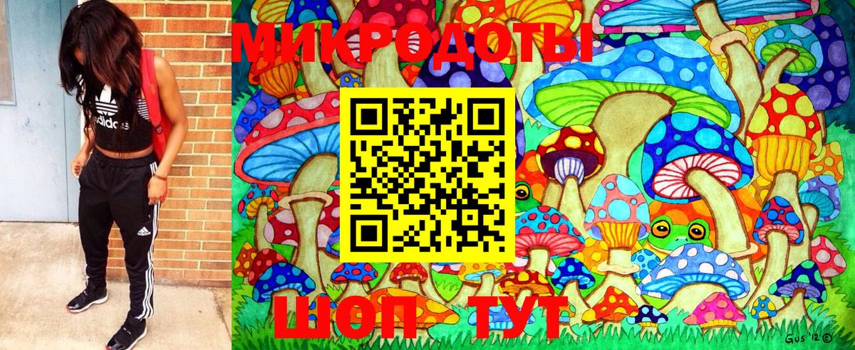 Кулебаки  Галлюциногенные грибы Cubensis  Вход с VPN 